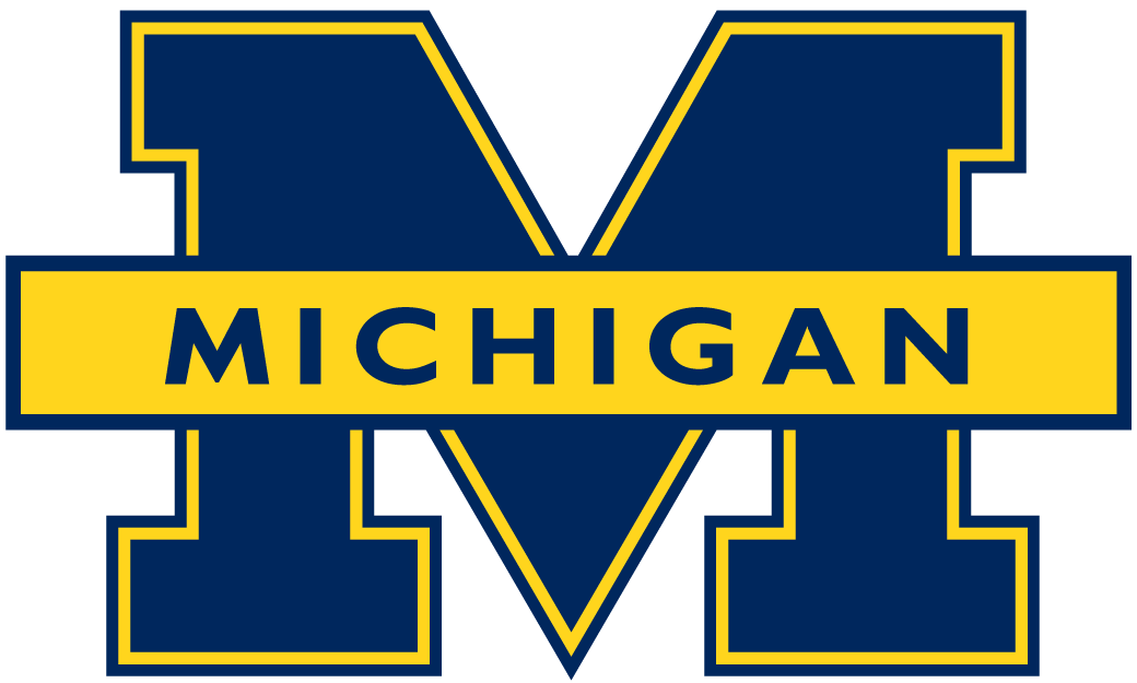 Michigan Wolverines 1996-2011 Primary Logo t shirts iron on transfers